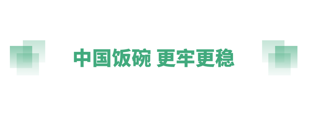 奋进的春天丨不负春时农桑忙