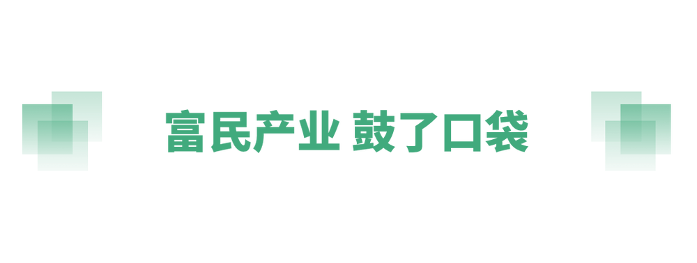 奋进的春天丨不负春时农桑忙
