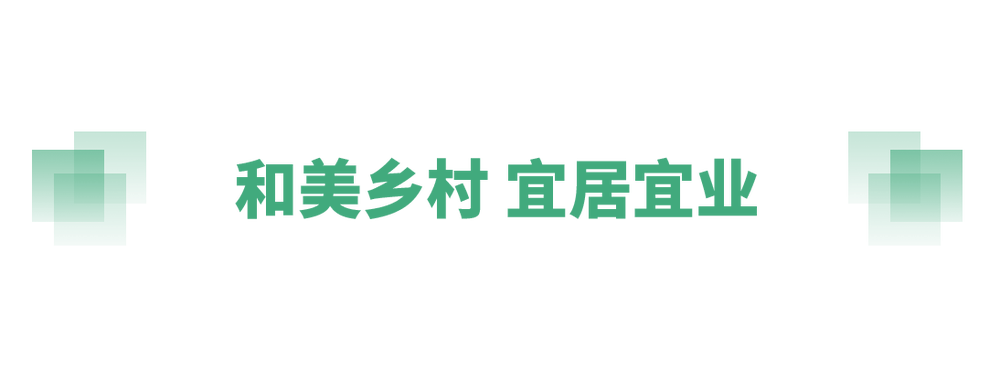 奋进的春天丨不负春时农桑忙