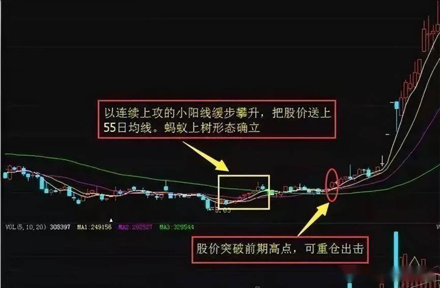 股票只要出现“蚂蚁上树”走势,说明主力吸筹完毕,即将拉升股价