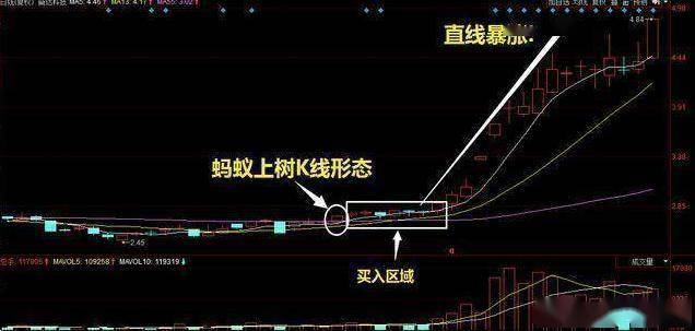 股票只要出现“蚂蚁上树”走势,说明主力吸筹完毕,即将拉升股价