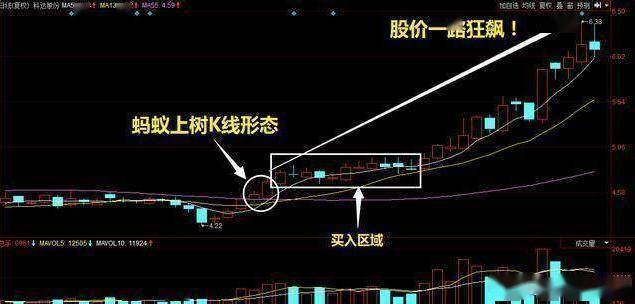 股票只要出现“蚂蚁上树”走势,说明主力吸筹完毕,即将拉升股价