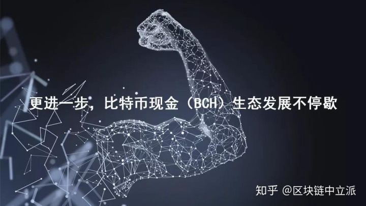 比特现金投资(比特现金目前价格是多少)