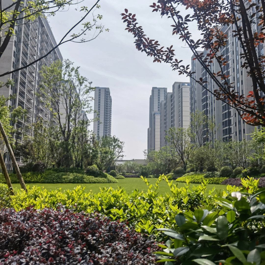 融创贵金属(融创金装修房怎么样)