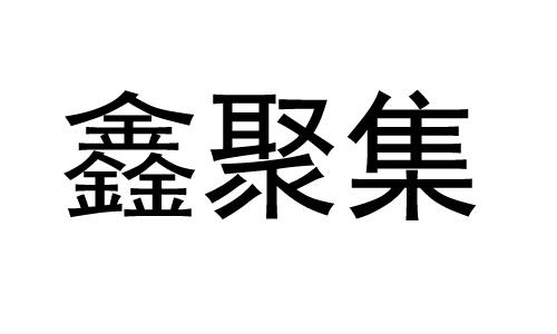 鑫汇金服贵金属(鑫汇金服公司简介)