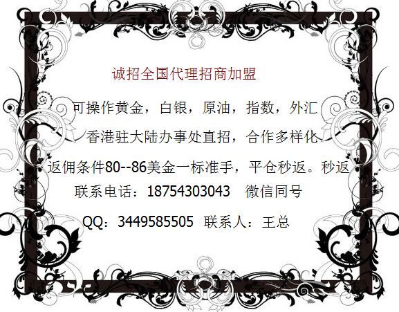坚固贵金属(坚固贵金属投资)