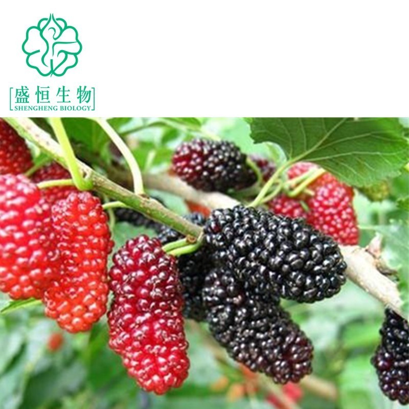 盛恒贵金属(盛恒工科公司)