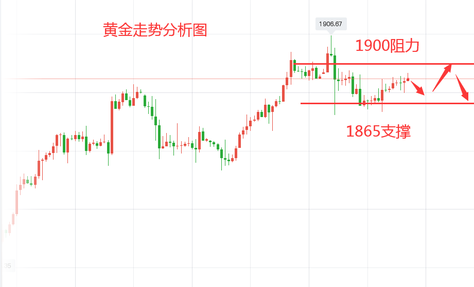 贵金属行情分析(贵金属行情分析报告)