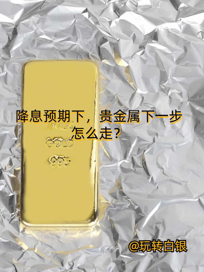 贵金属怎么炒(炒贵金属入门知识)