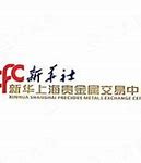 上海贵金属交易所(上海贵金属交易所铜价)