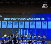 上海贵金属交易所(上海贵金属交易所铜价)