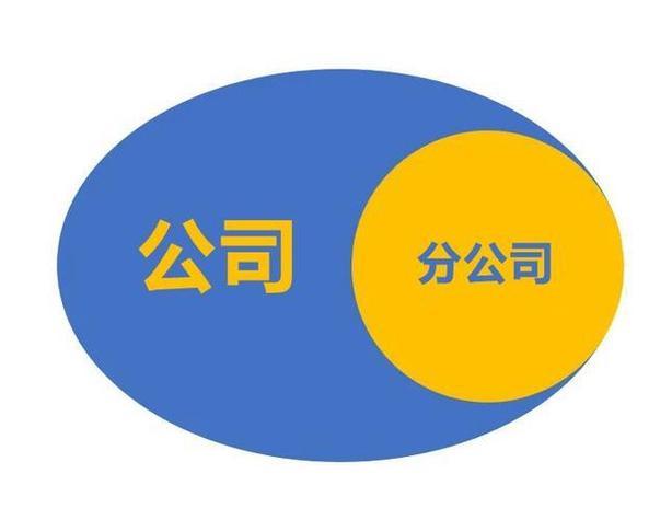 证券人才(证券公司人才)